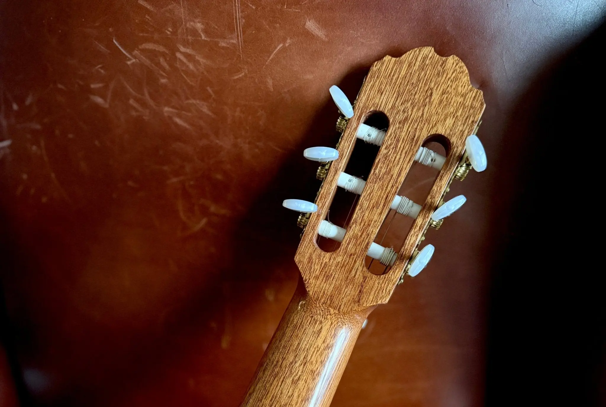 Kremona Fiesta F65C-T Solid Red Cedar, Indian Rosewood Veneer Nylon Strung Guitar - Image 8