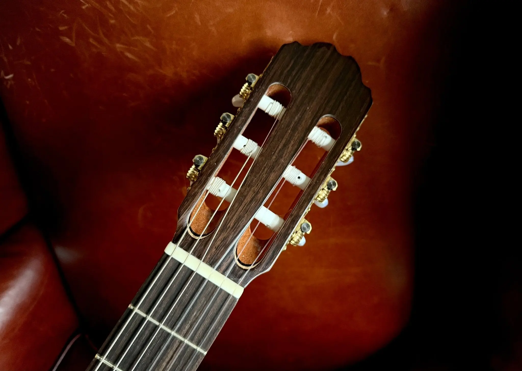 Kremona Fiesta F65C-T Solid Red Cedar, Indian Rosewood Veneer Nylon Strung Guitar - Image 9