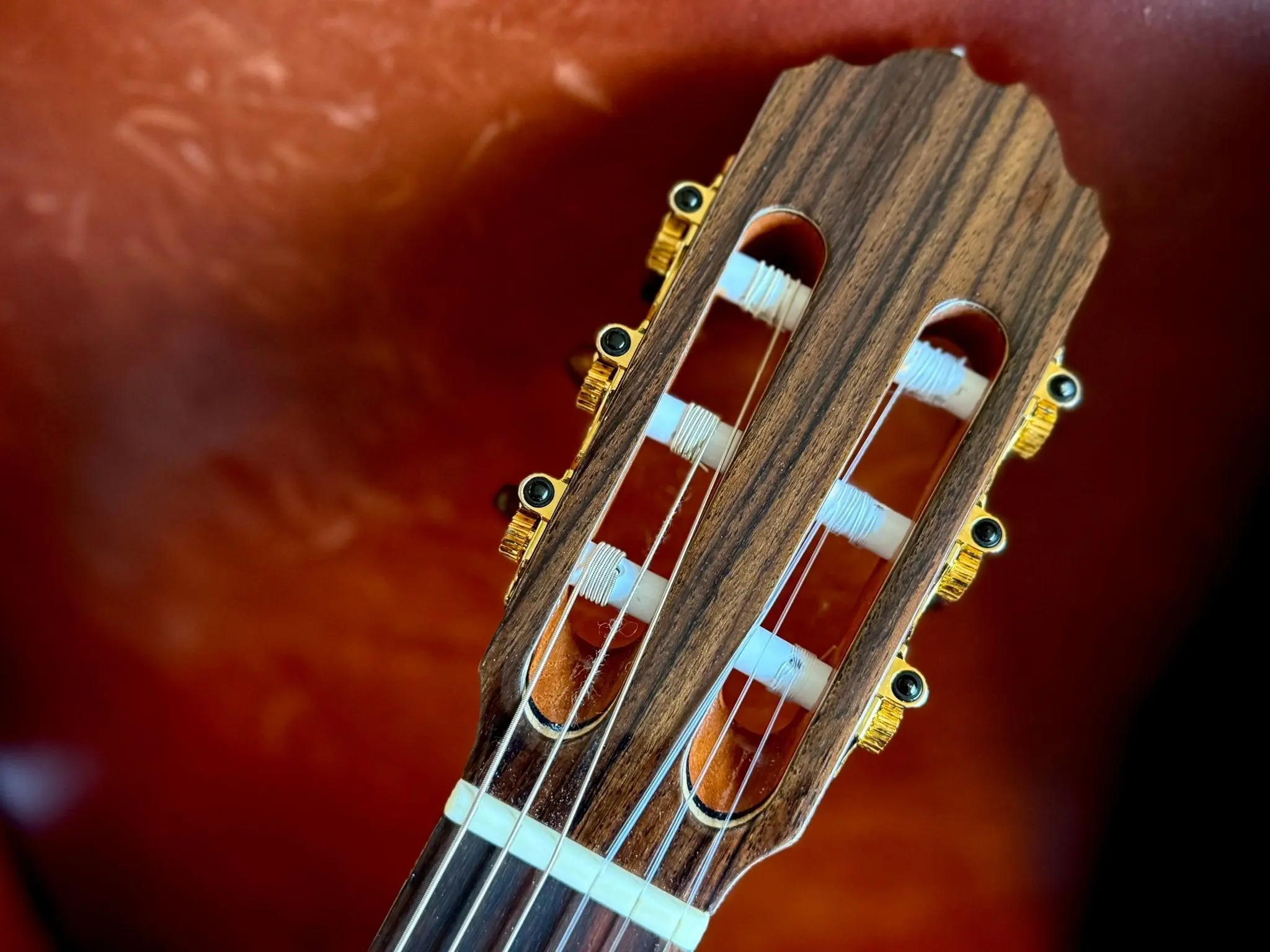 Kremona F65CWS, Solid Spruce, Indian Rosewood Back & Sides,  Hand Made Electro Nylon Strung Guitar - Image 16