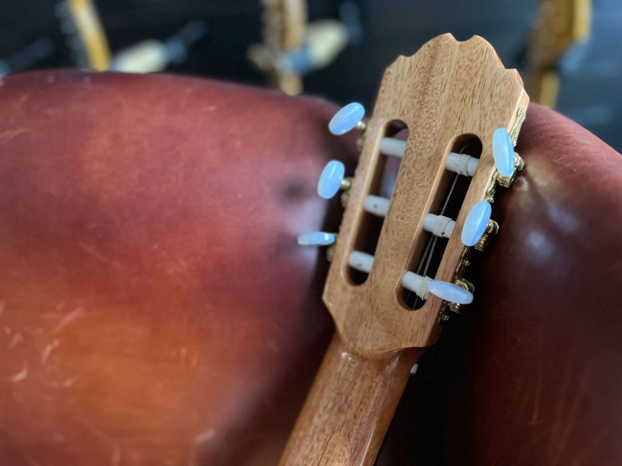 Kremona F65S Solid Spruce, Indian Rosewood Veneer Hand Made Nylon Strung Guitar - Image 13