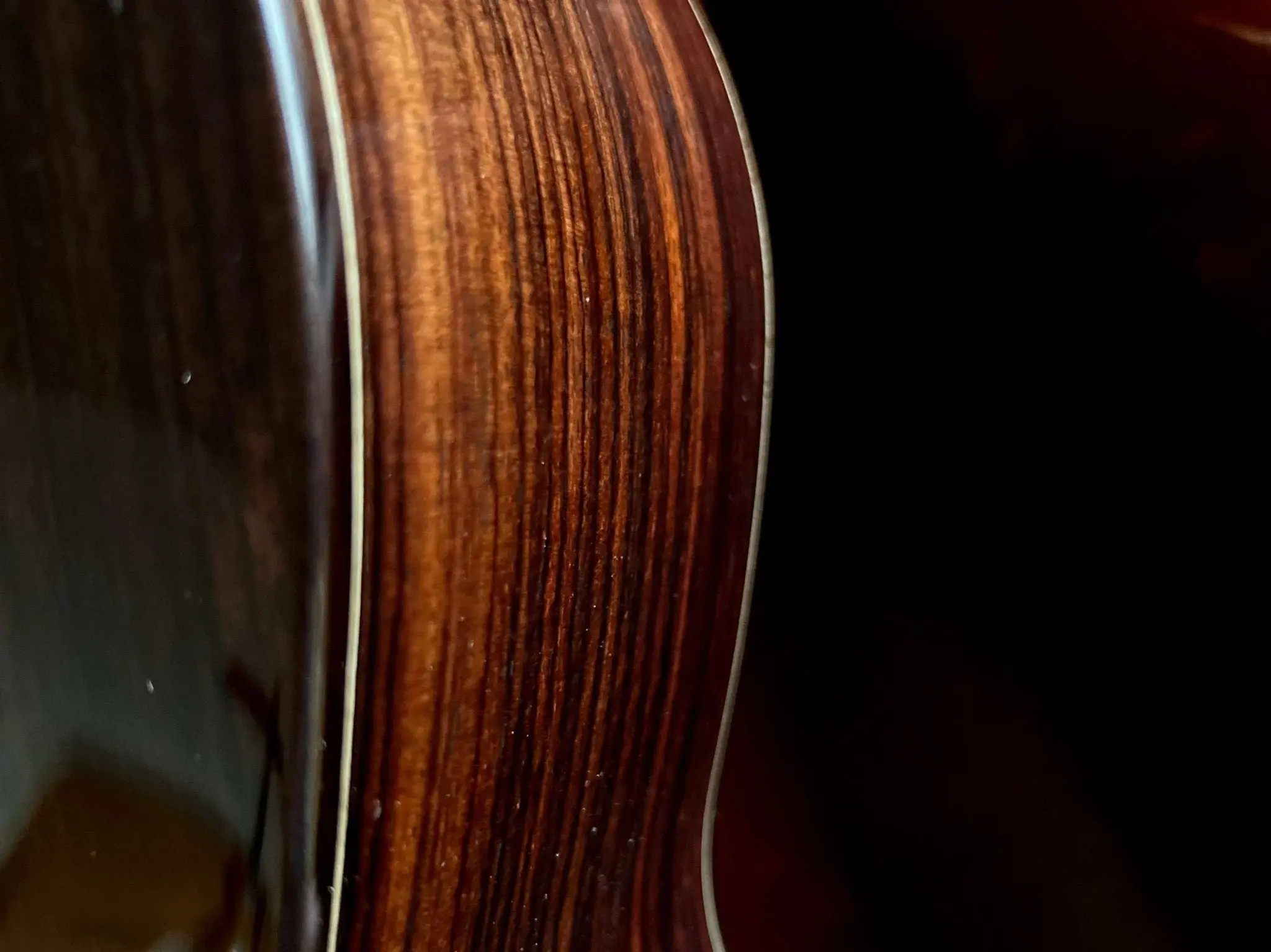 Kremona F65S Solid Spruce, Indian Rosewood Veneer Hand Made Nylon Strung Guitar - Image 3