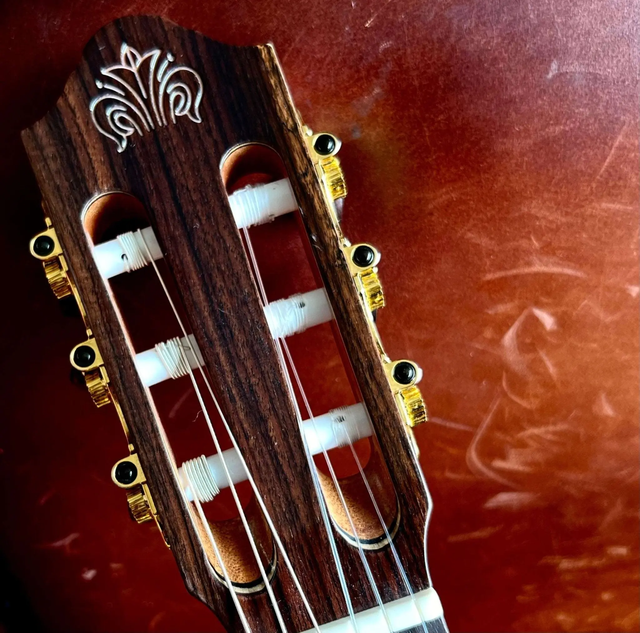 Kremona FIESTA FC, Solid Red Cedar, Solid Indian Rosewood - Image 15