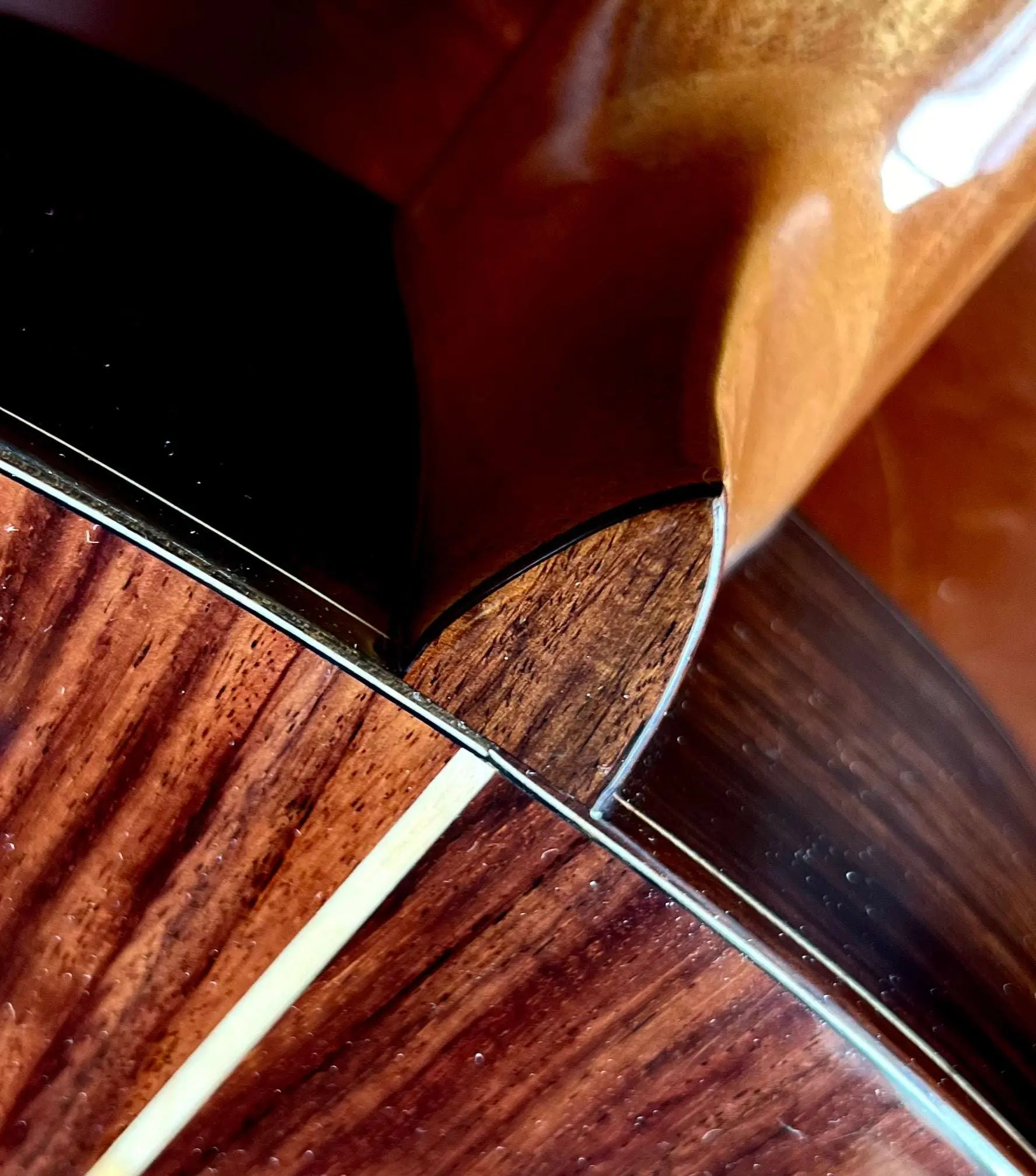 Kremona FIESTA FC, Solid Red Cedar, Solid Indian Rosewood - Image 16