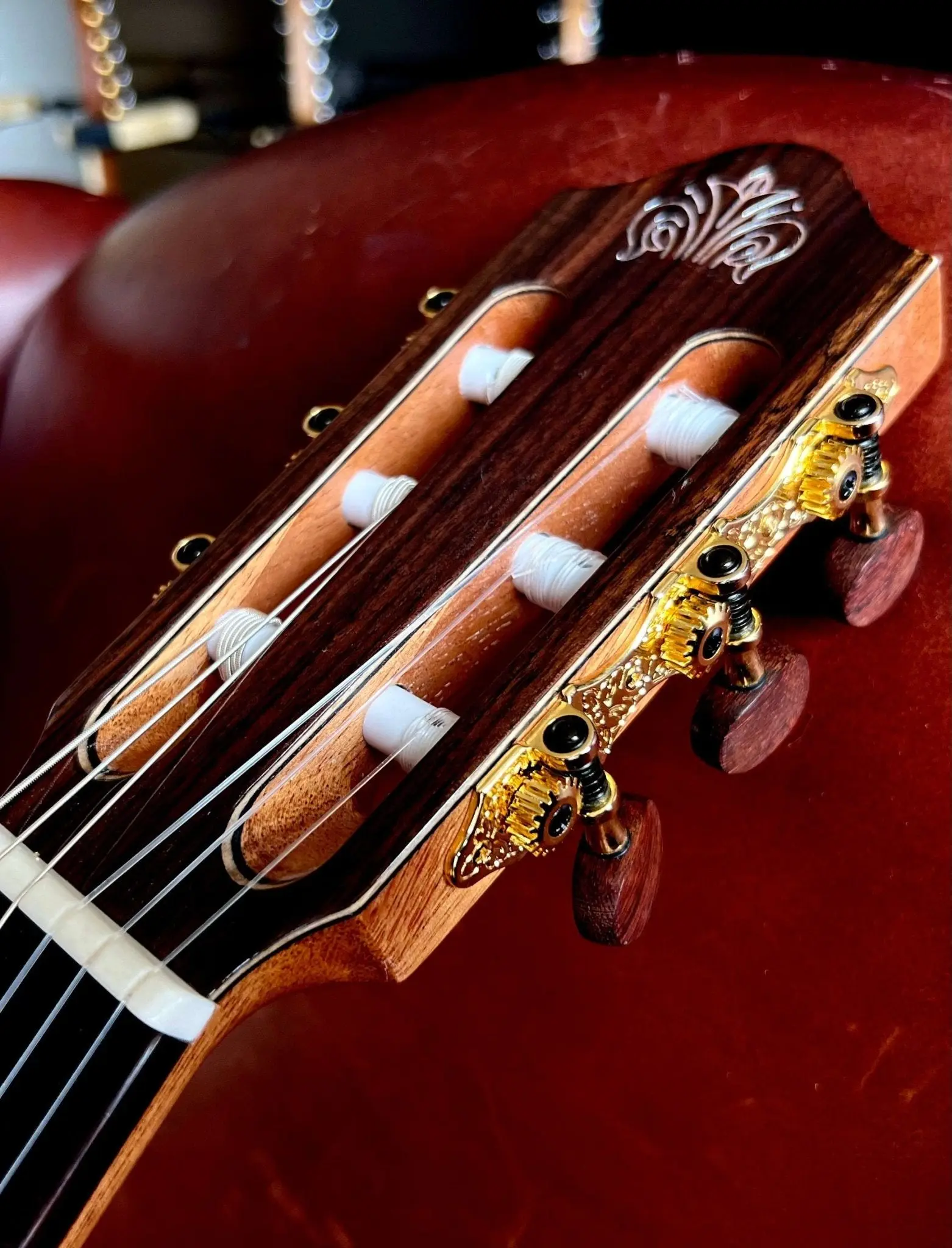 Kremona FIESTA FC, Solid Red Cedar, Solid Indian Rosewood - Image 17