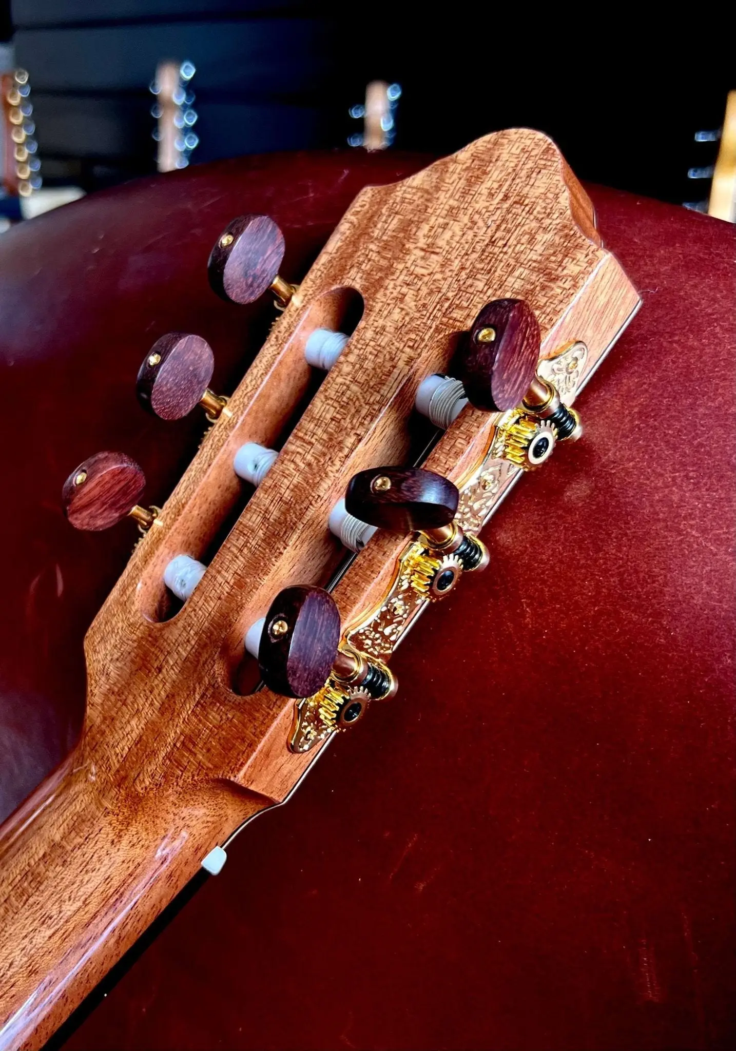 Kremona FIESTA FC, Solid Red Cedar, Solid Indian Rosewood - Image 18