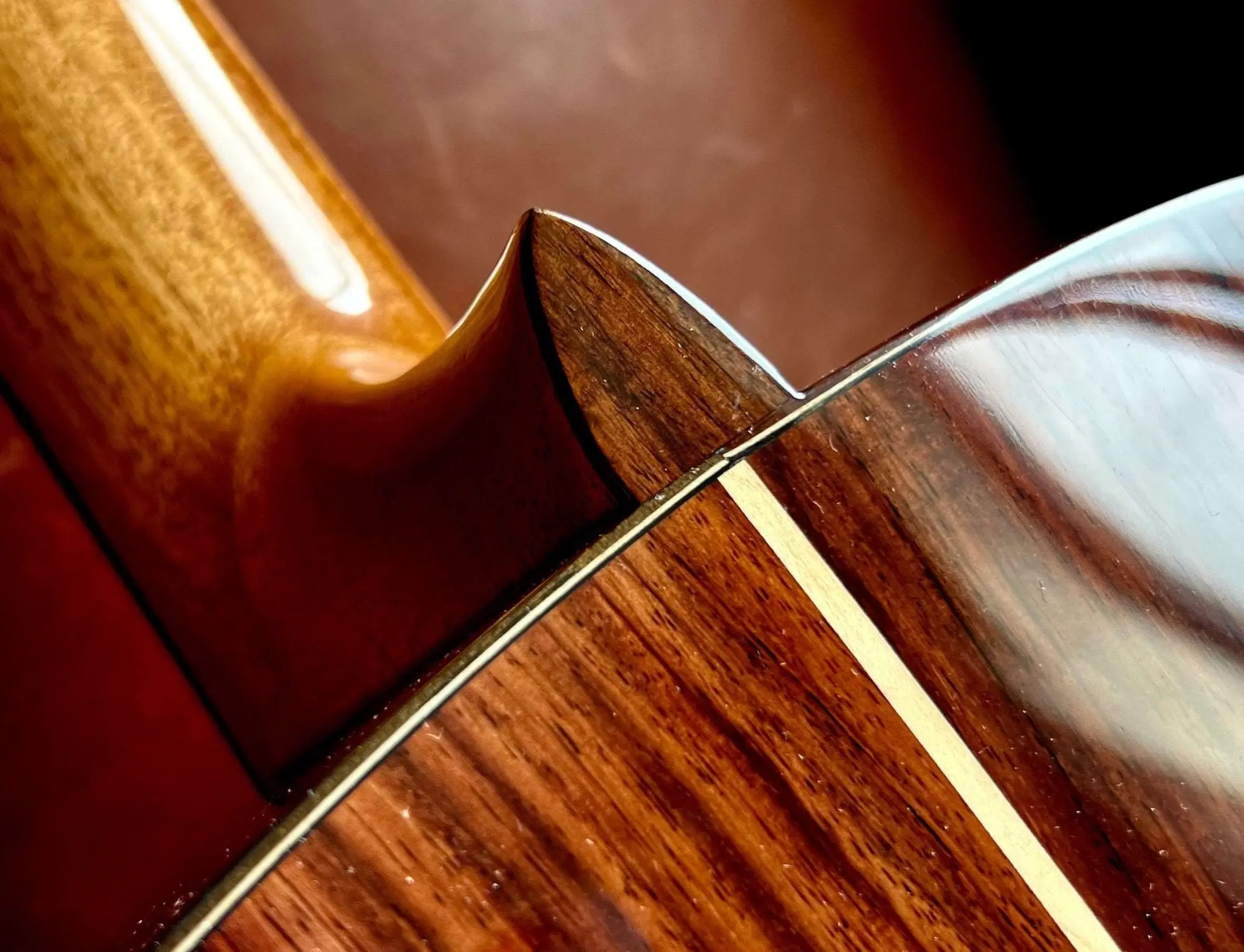 Kremona FIESTA FC, Solid Red Cedar, Solid Indian Rosewood - Image 7