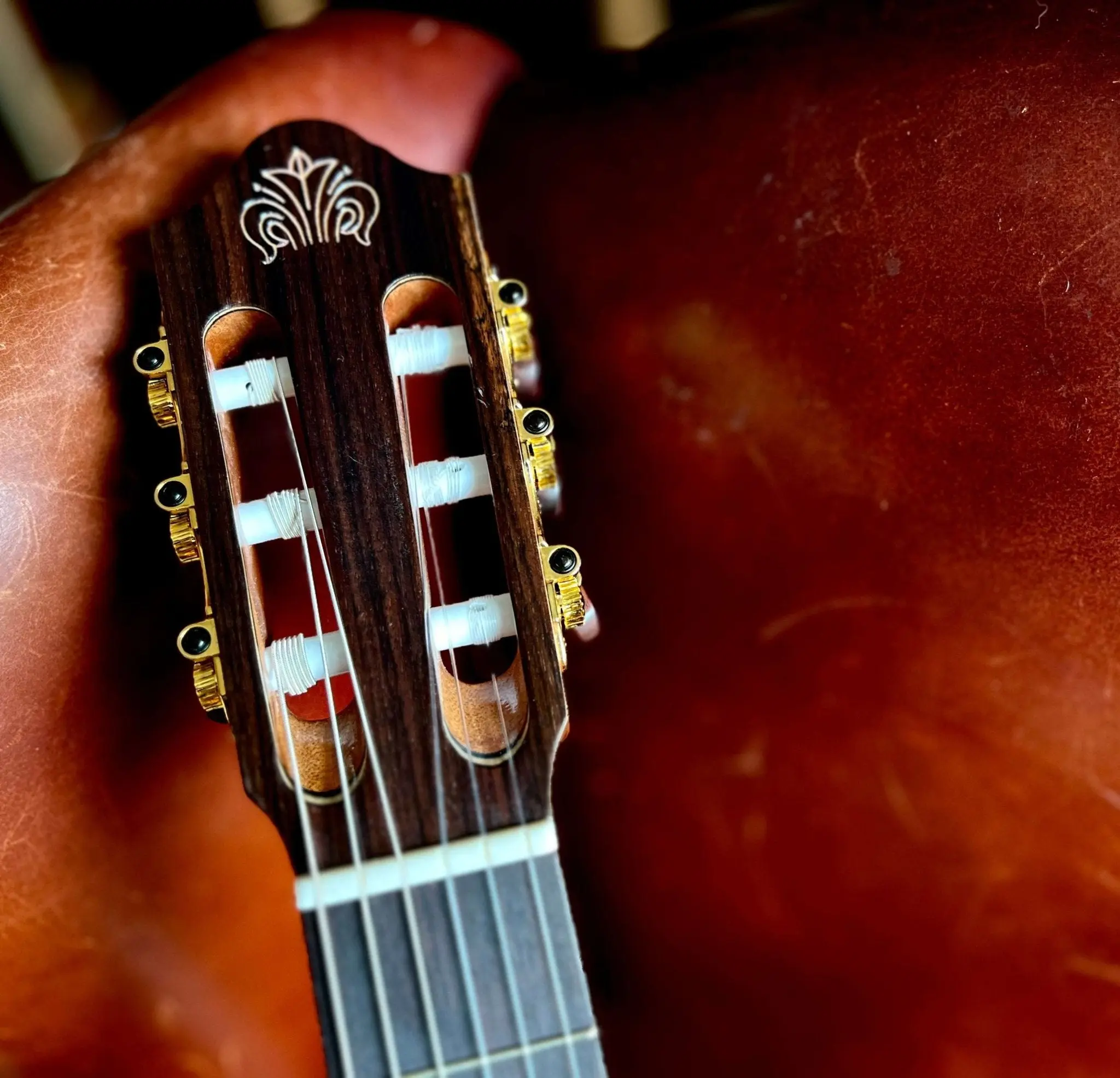 Kremona FIESTA FC, Solid Red Cedar, Solid Indian Rosewood - Image 9