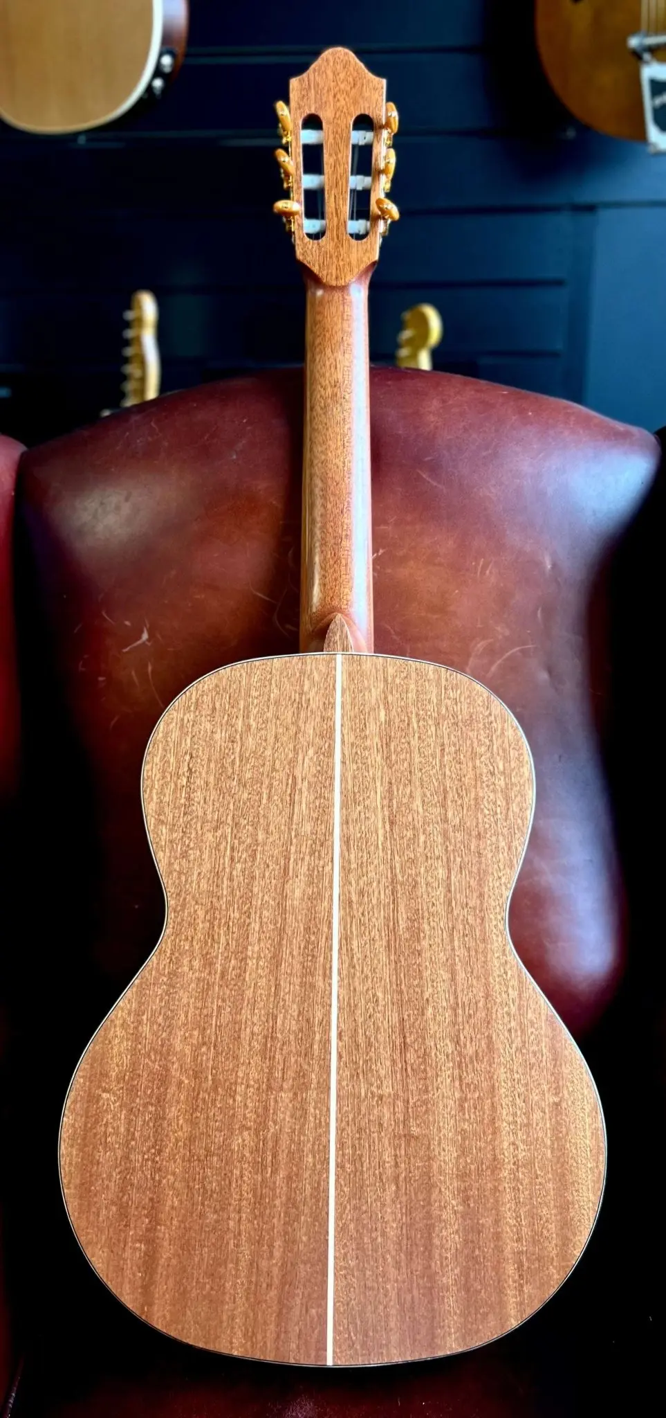 Kremona SOFIA SC Solid Red Cedar, Solid Sapelli - Image 17