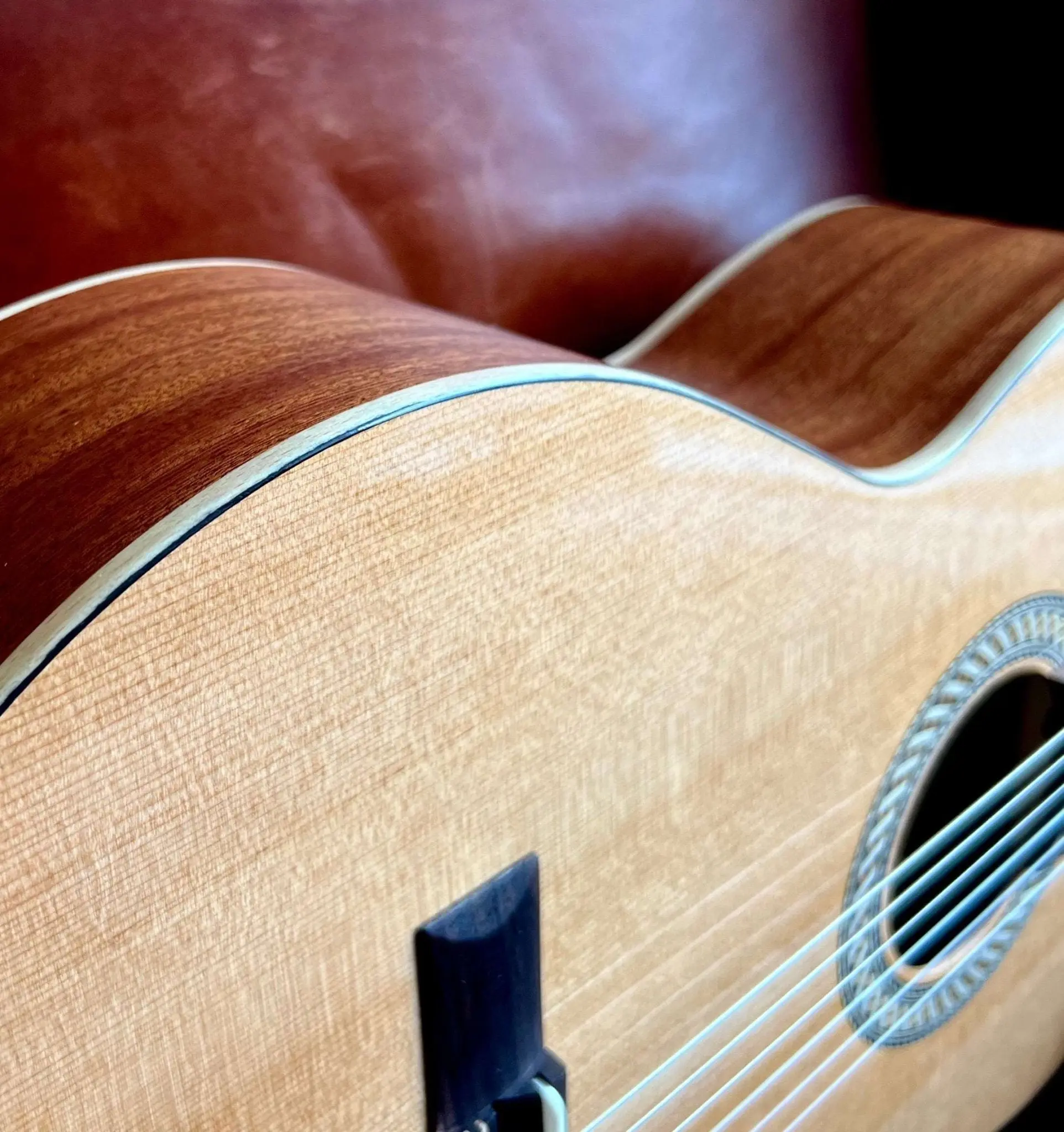 Kremona SOFIA SC Solid Red Cedar, Solid Sapelli - Image 18