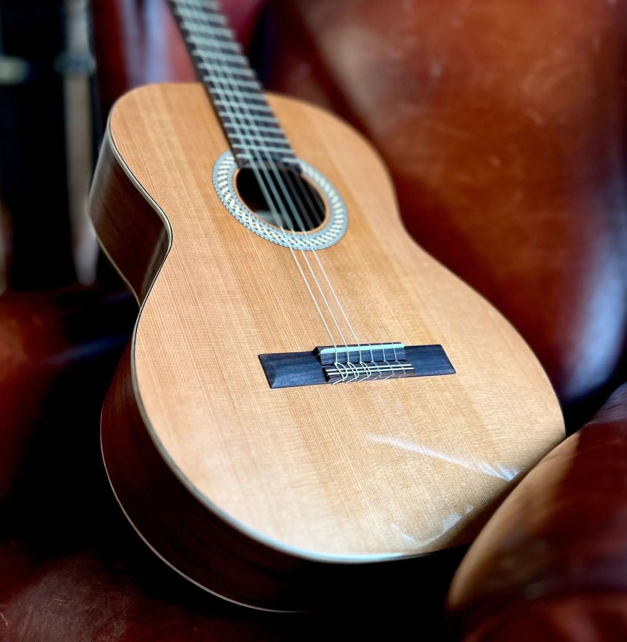 Kremona SOFIA SC Solid Red Cedar, Solid Sapelli - Image 3