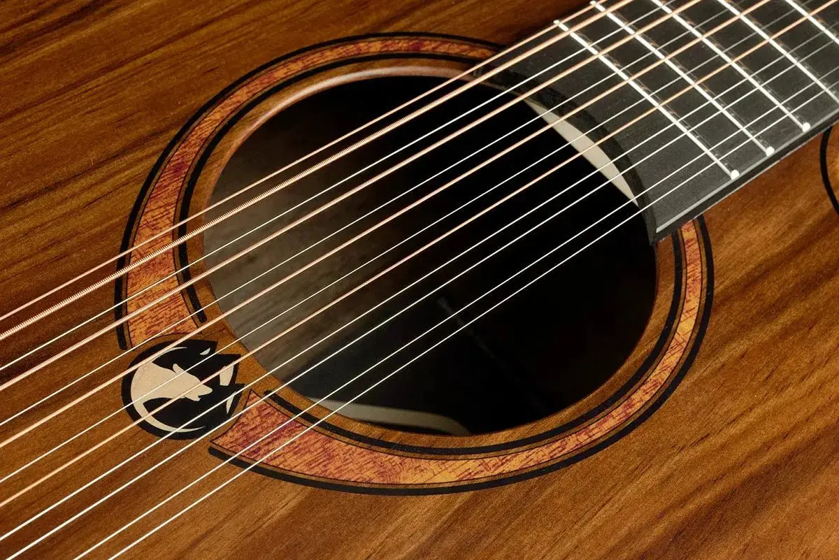 LAG Sauvage Jumbo 12 Strings Cutaway Acoustic-Electric - Image 26