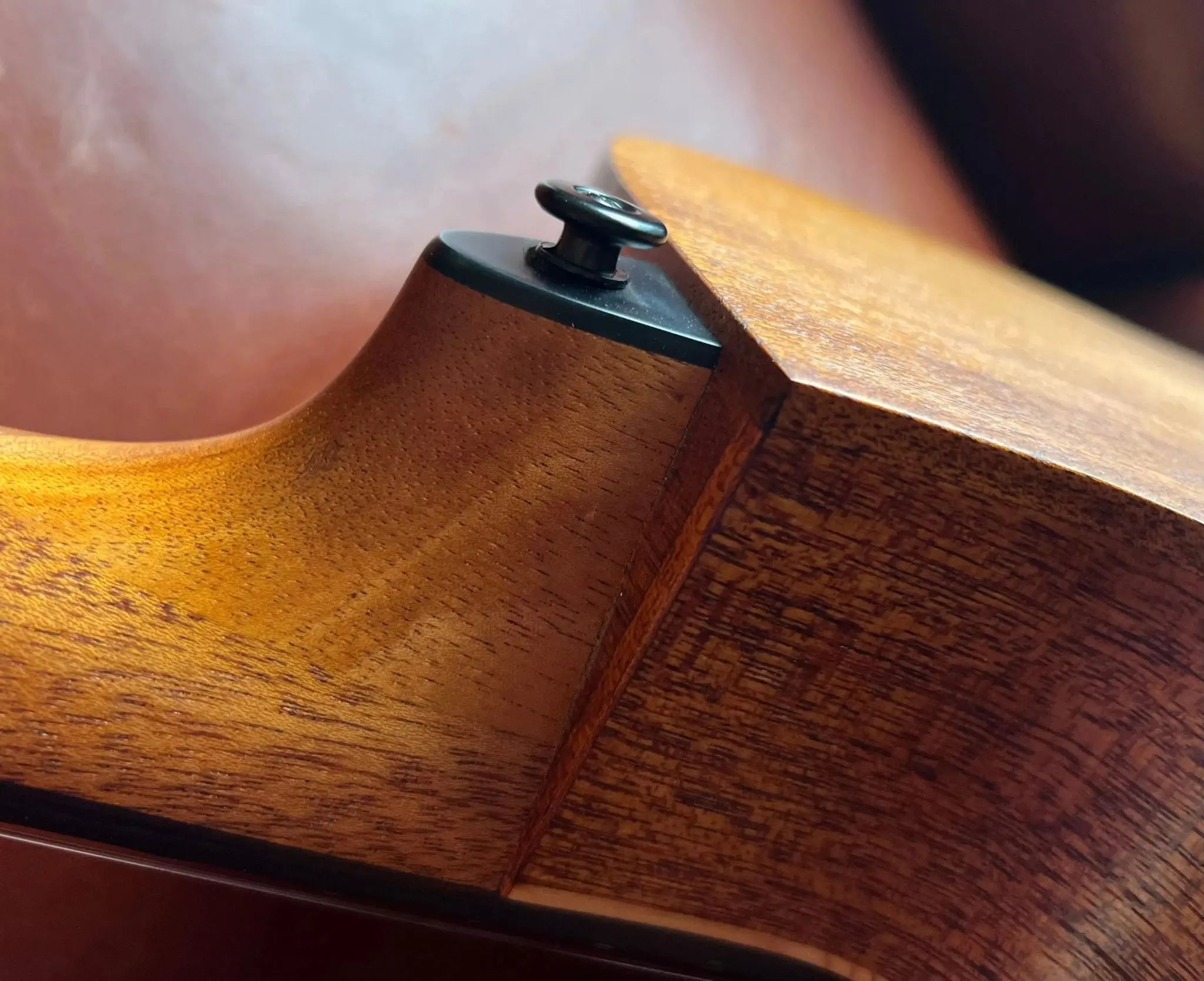 LAG TRAMONTANE TN170ASCE COUNTRY AUDITORIUM SLIM CUTAWAY Nylon Electro - Image 17