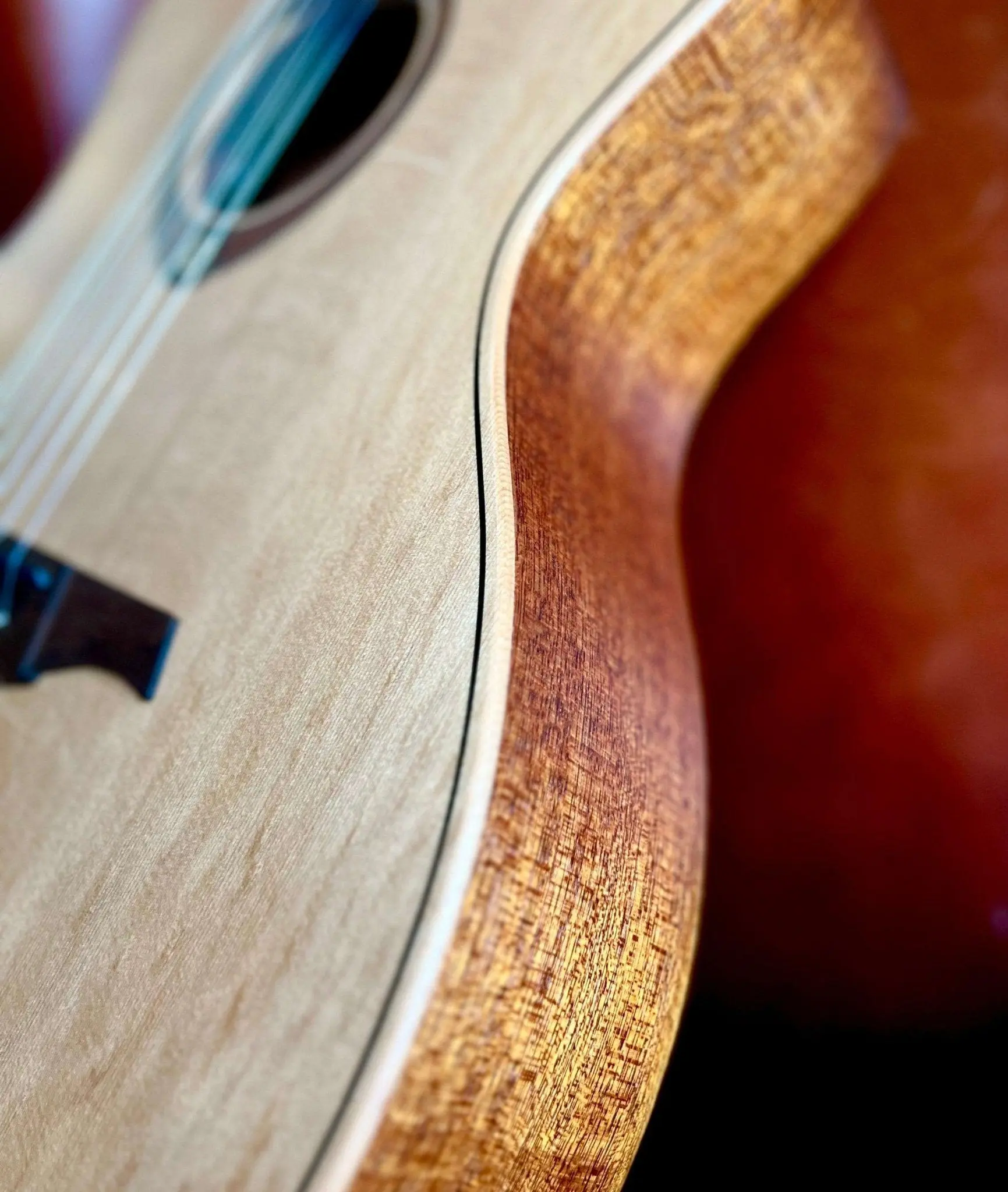 LAG TRAMONTANE TN170ASCE COUNTRY AUDITORIUM SLIM CUTAWAY Nylon Electro - Image 3