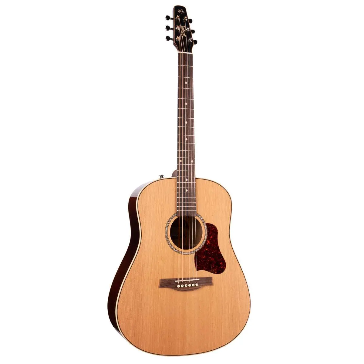 Seagull Coastline Momentum Electro-Acoustic Guitar ~ HG - Image 2