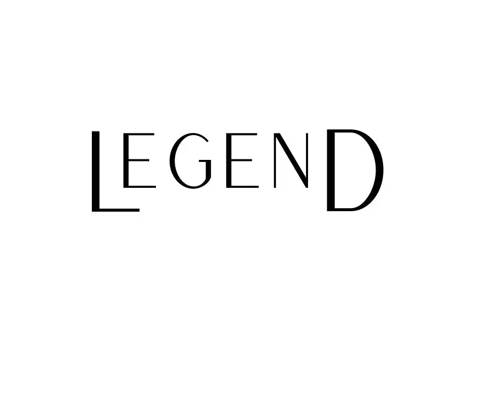 SMJ LEGEND Patch Cable - Image 2