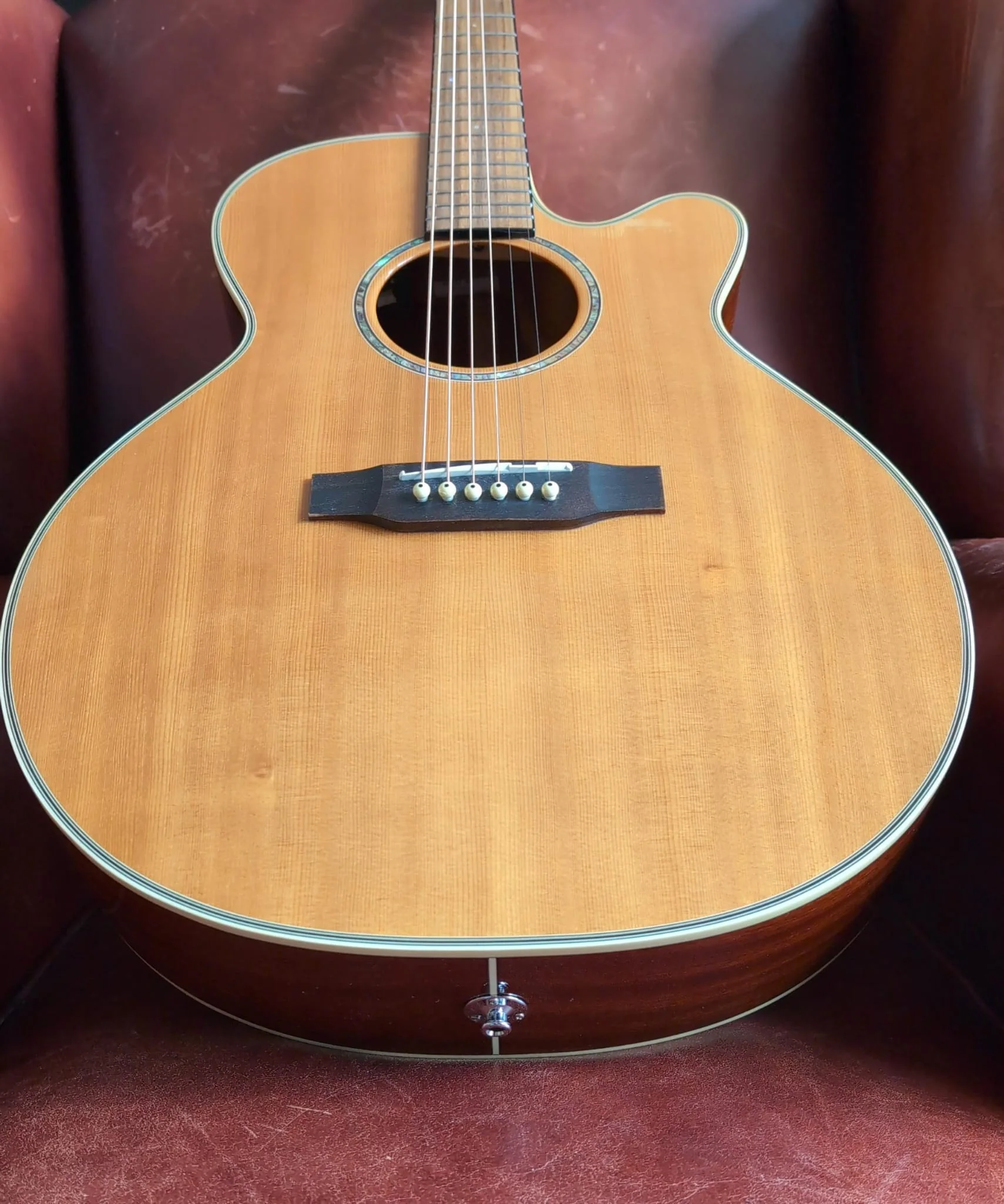Takamine EG540SSC (Used) - Image 7