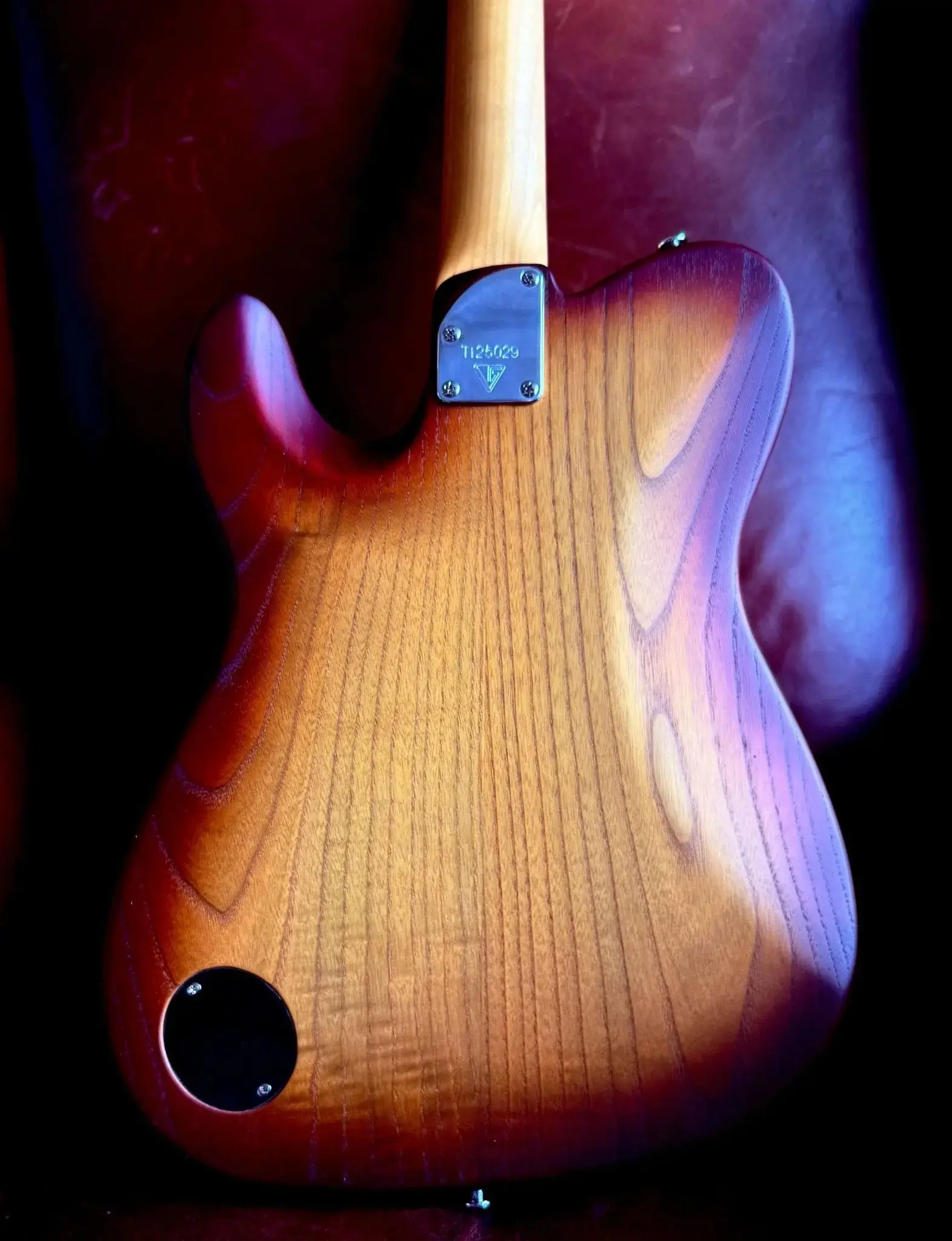 Valiant Titan Sunburst With Stainless Steel Frets Upgrade - Image 11