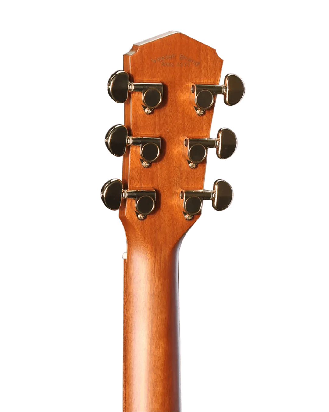 Veelah V5 OMC Solid Top Spruce Electro Acoustic Guitar w/ Gig Bag - Image 6