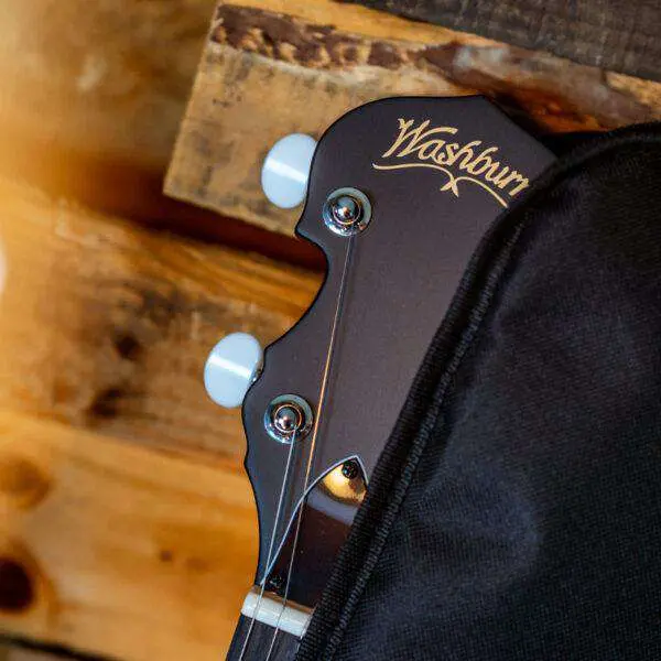 Washburn B8-PACK Banjo Banjo - Image 2