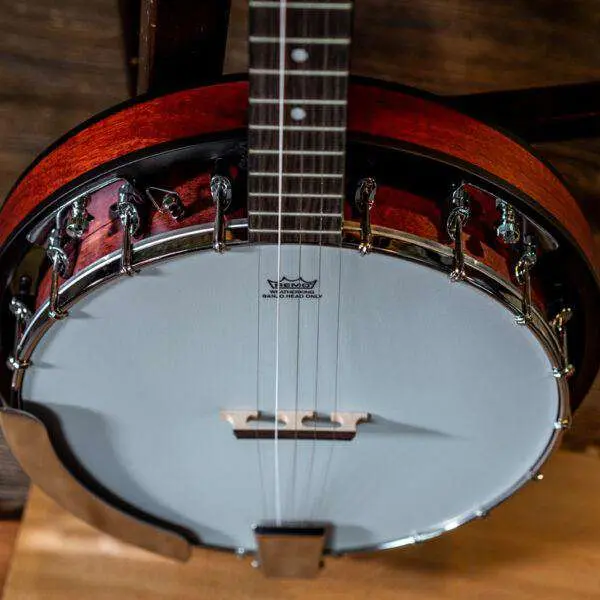 Washburn B8-PACK Banjo Banjo - Image 4
