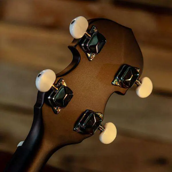 Washburn B8-PACK Banjo Banjo - Image 5