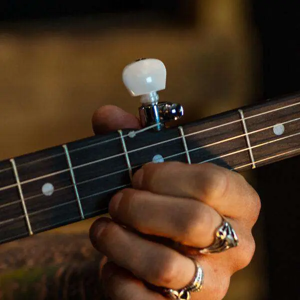 Washburn B8-PACK Banjo Banjo - Image 6