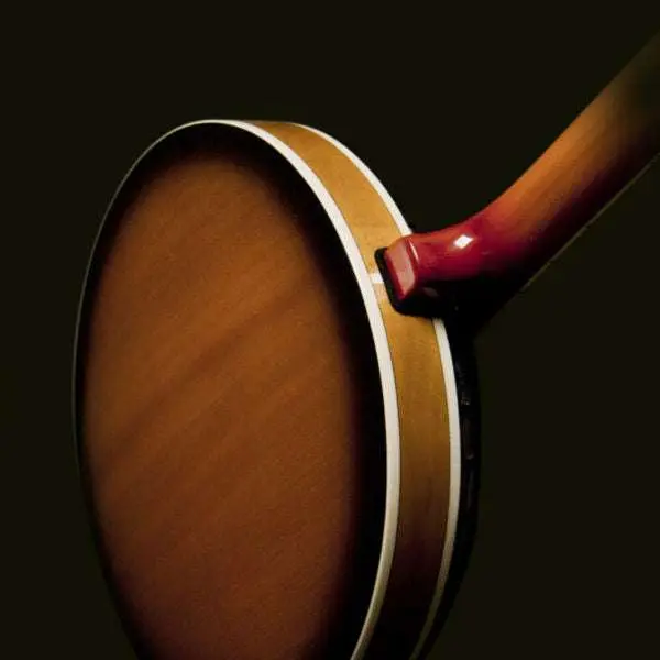 Washburn B9 Banjo Banjo - Image 2
