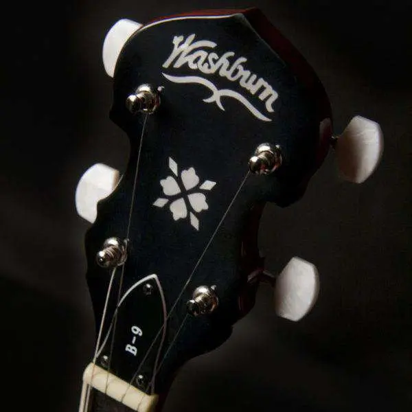 Washburn B9 Banjo Banjo - Image 3