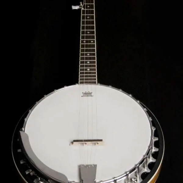 Washburn B9 Banjo Banjo - Image 4