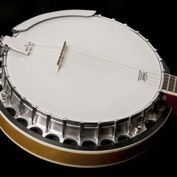 Washburn B9 Banjo Banjo - Image 5