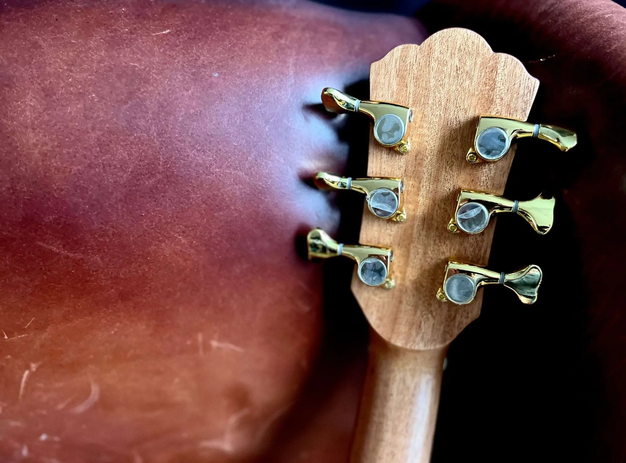 Washburn Bella Tono ALLURE SC56S - Natural Electro Acoustic Guitar - Image 10