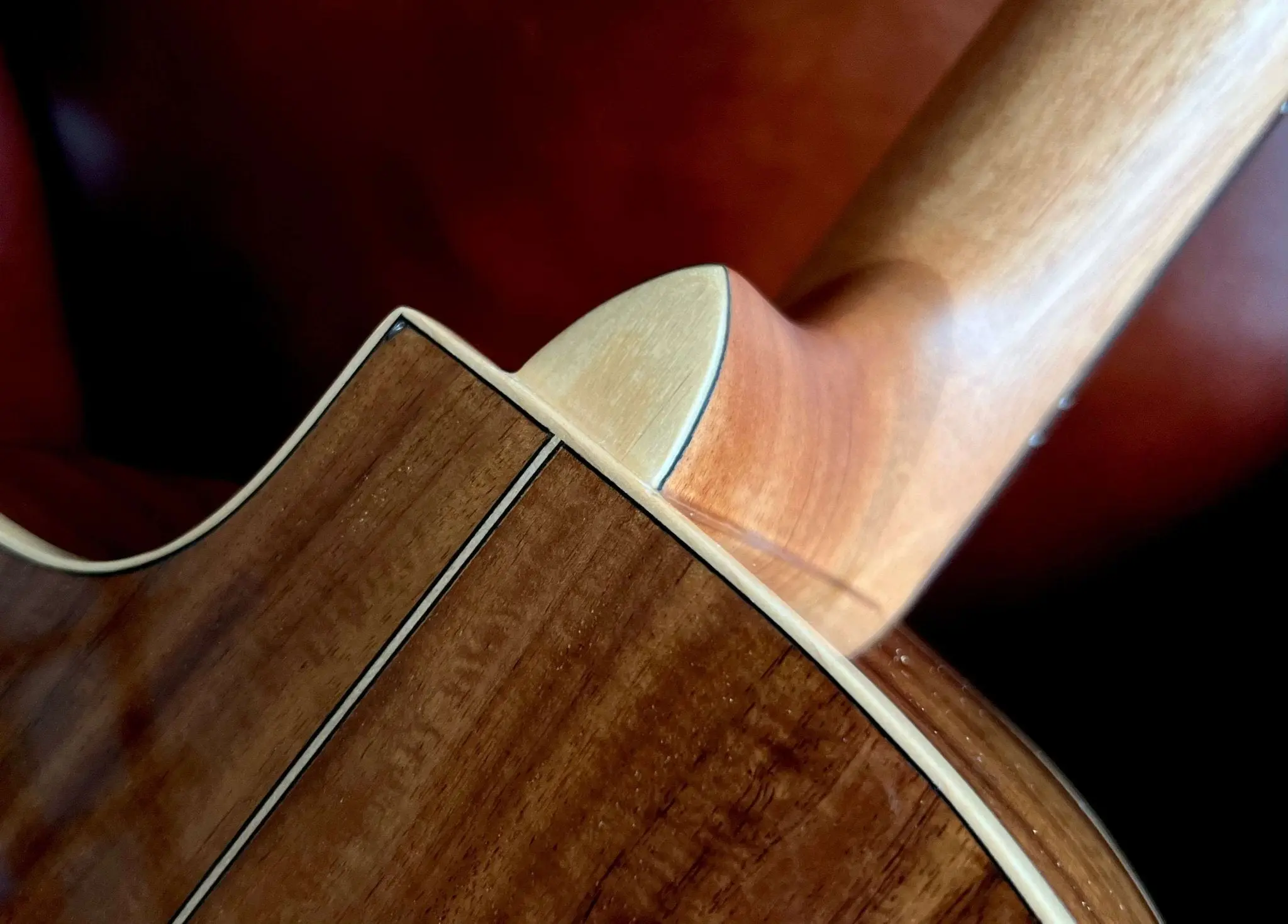 Washburn Bella Tono ALLURE SC56S - Natural Electro Acoustic Guitar - Image 18