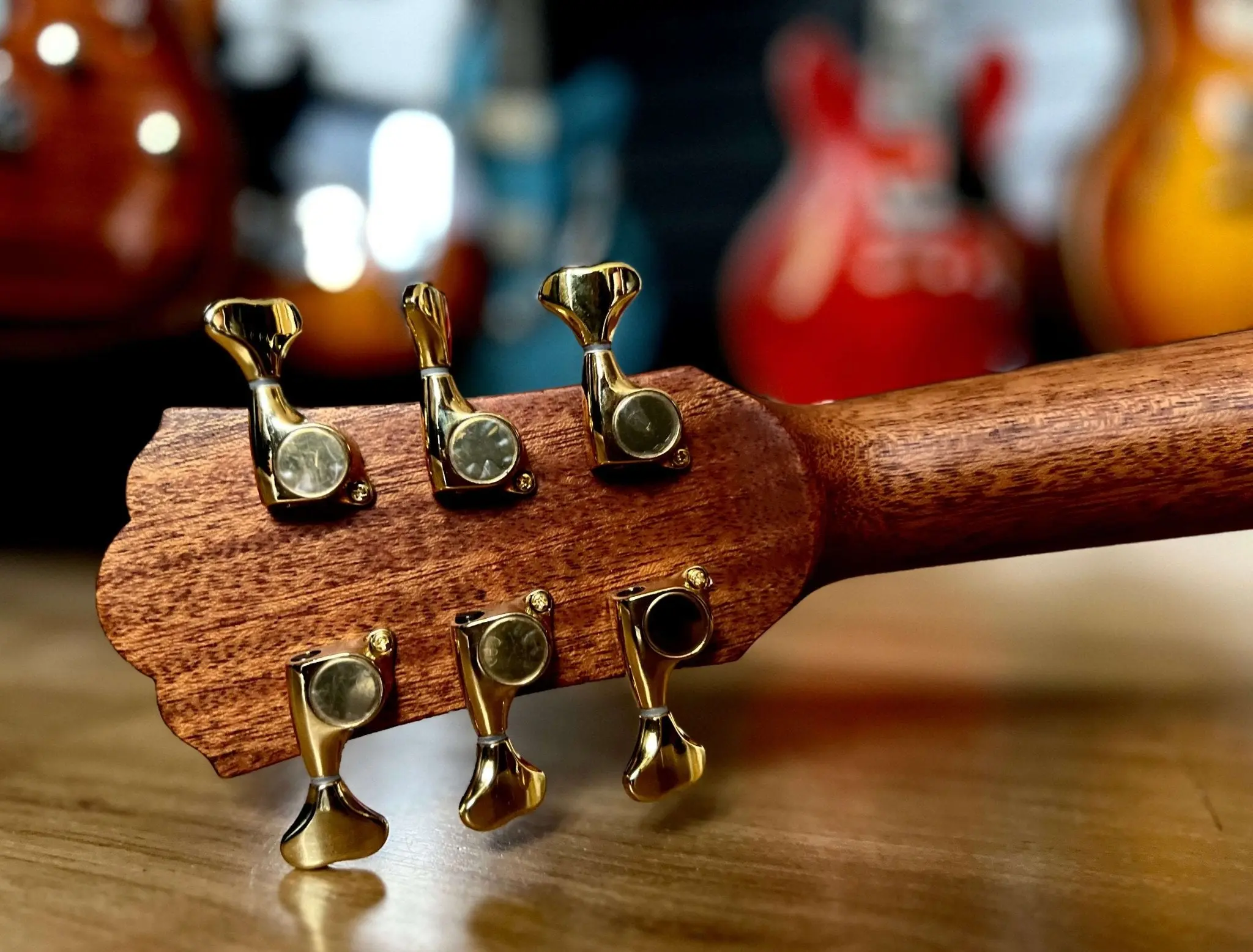 Washburn Bella Tono Elegante S24S -Stunning Solid Spruce Top Acoustic Guitar w' £225 Custom Pro Setup & Support Package Included - Image 10