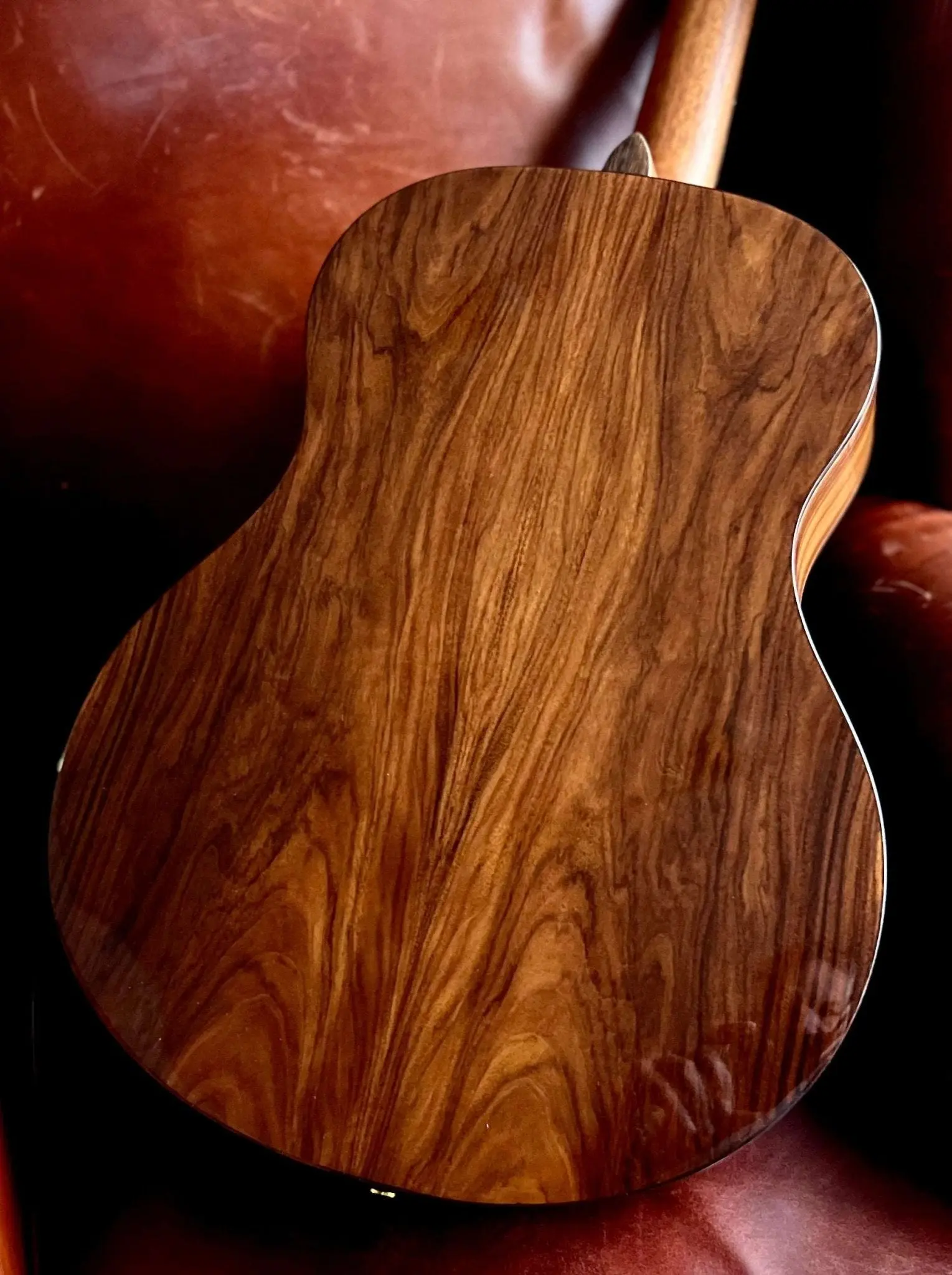 Washburn Bella Tono Elegante S24S -Stunning Solid Spruce Top Acoustic Guitar w' £225 Custom Pro Setup & Support Package Included - Image 17