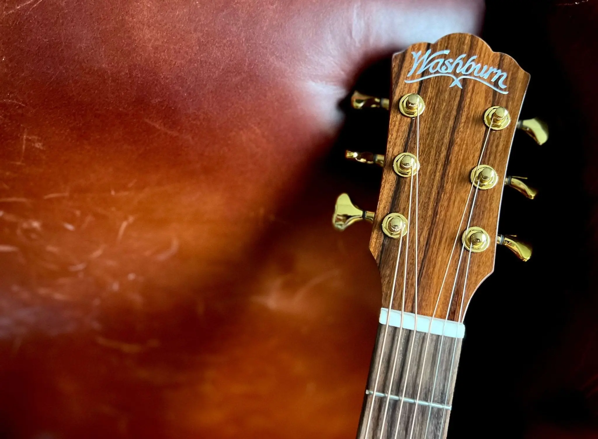 Washburn Bella Tono Elegante S24S -Stunning Solid Spruce Top Acoustic Guitar w' £225 Custom Pro Setup & Support Package Included - Image 18