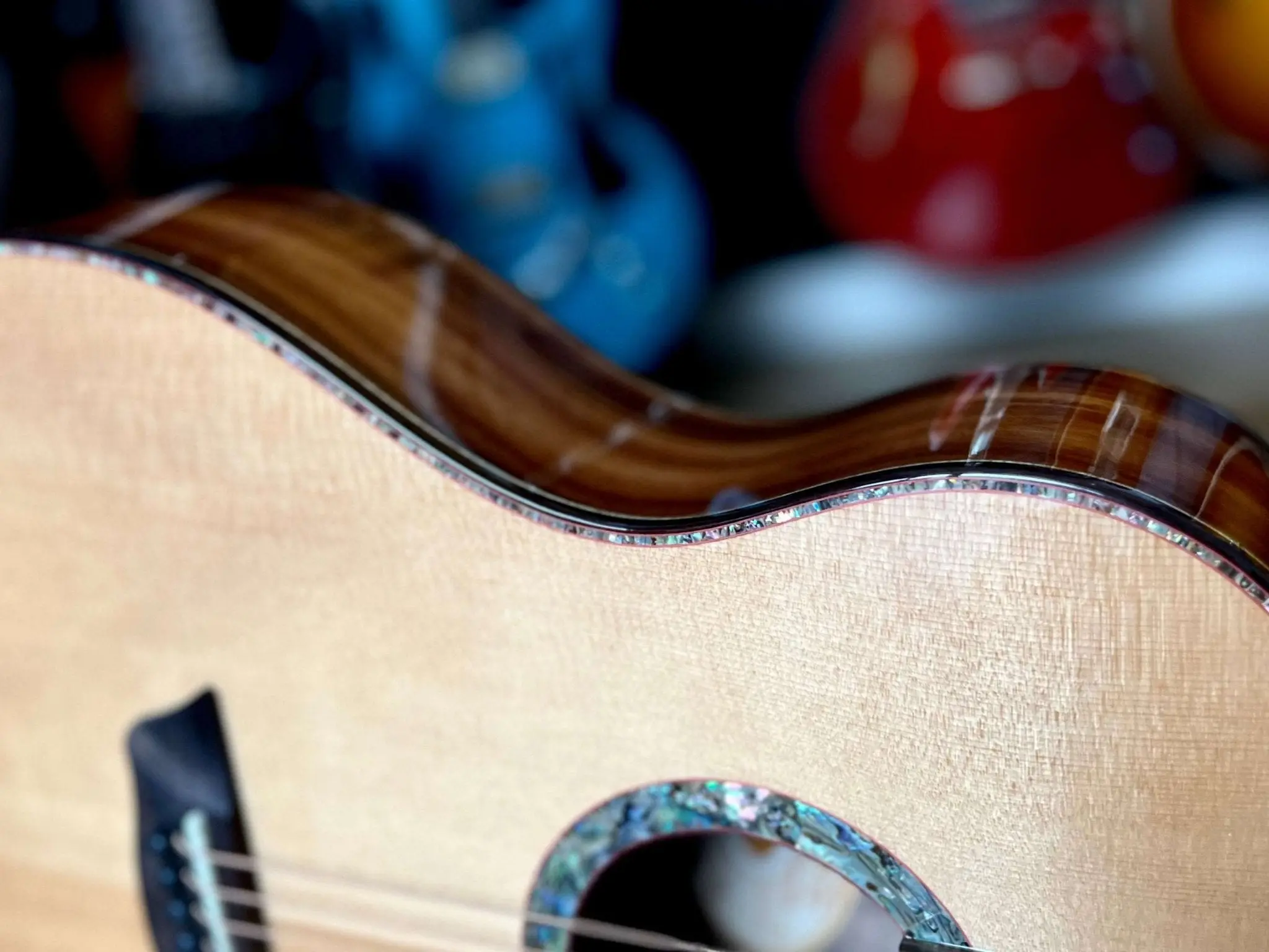 Washburn Bella Tono Elegante S24S -Stunning Solid Spruce Top Acoustic Guitar w' £225 Custom Pro Setup & Support Package Included - Image 2