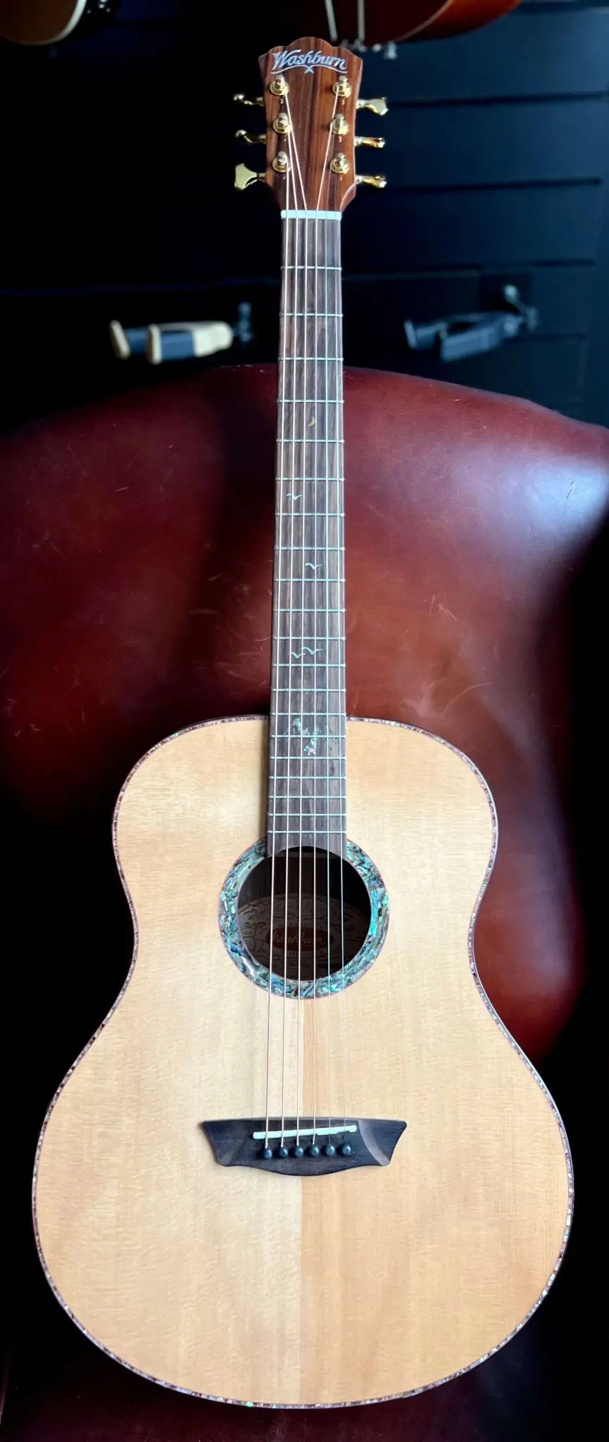 Washburn Bella Tono Elegante S24S -Stunning Solid Spruce Top Acoustic Guitar w' £225 Custom Pro Setup & Support Package Included - Image 22