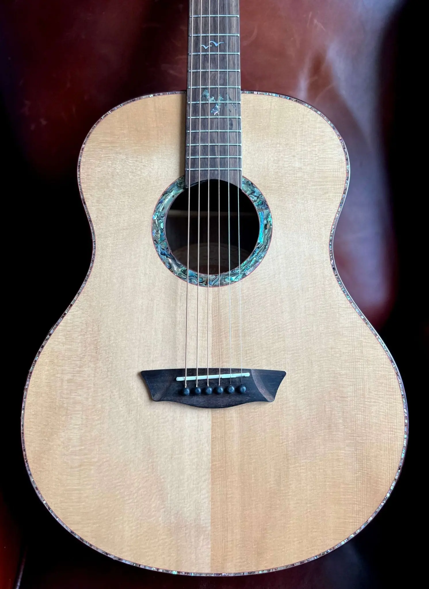 Washburn Bella Tono Elegante S24S -Stunning Solid Spruce Top Acoustic Guitar w' £225 Custom Pro Setup & Support Package Included - Image 3