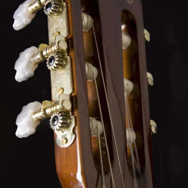 Washburn C5 Classical - Natural Nylon Strung Guitar - Image 3