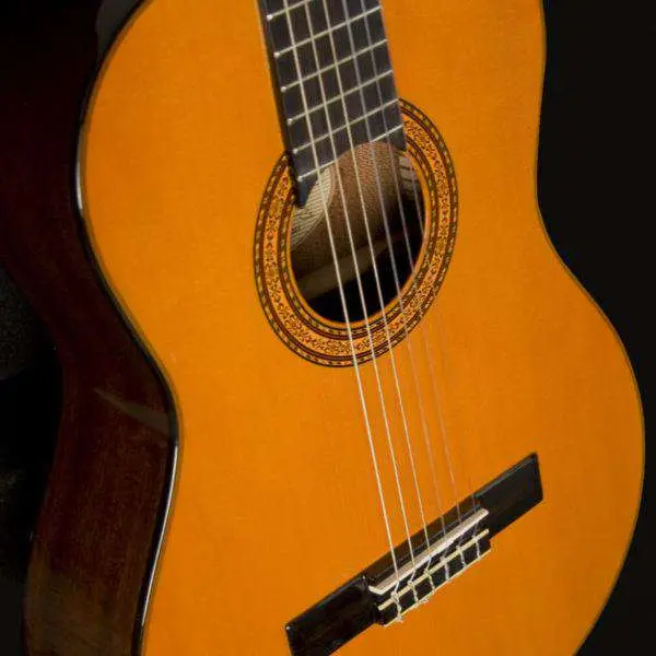 Washburn C5 Classical - Natural Nylon Strung Guitar - Image 5