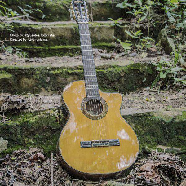 Washburn C64SCE - Classical - Natural Nylon Strung Guitar - Image 3