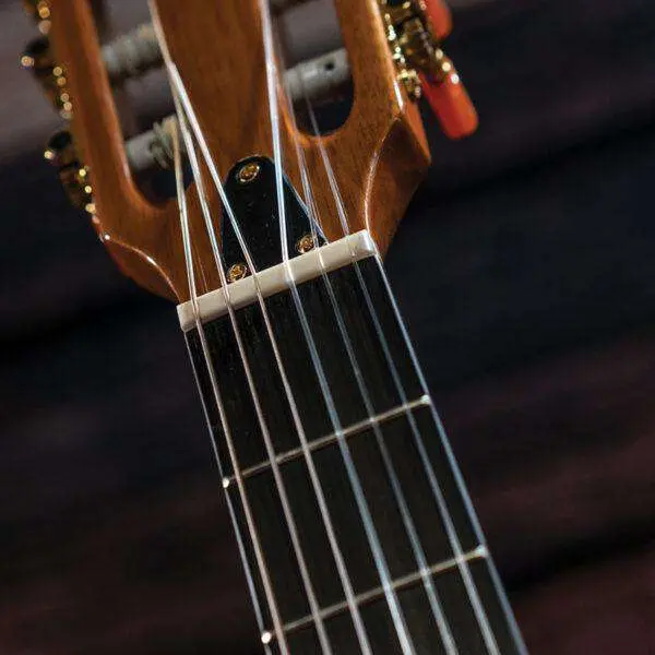 Washburn EACT42S - Thinline - Natural Electro Nylon Strung Guitar w'£225 Custom Pro Setup & Back Up Service - Image 10