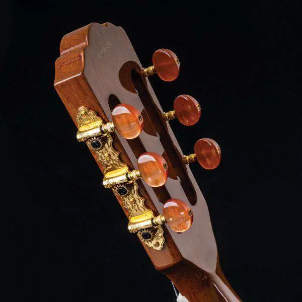 Washburn EACT42S - Thinline - Natural Electro Nylon Strung Guitar w'£225 Custom Pro Setup & Back Up Service - Image 4