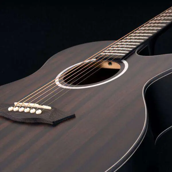 Washburn EBONY ACE - Grand Auditorium - Natural Matte Electro Acoustic Guitar - Image 2