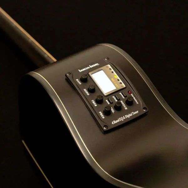 Washburn EBONY ACE - Grand Auditorium - Natural Matte Electro Acoustic Guitar - Image 3