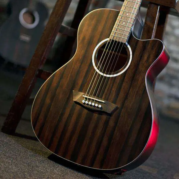 Washburn EBONY ACE - Grand Auditorium - Natural Matte Electro Acoustic Guitar - Image 5