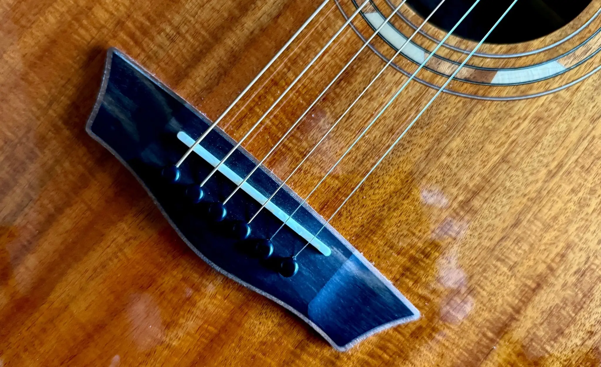 Washburn G55CE KOA w/ CASE - Grand Auditorium - Natural Electro Acoustic Guitar - Image 20