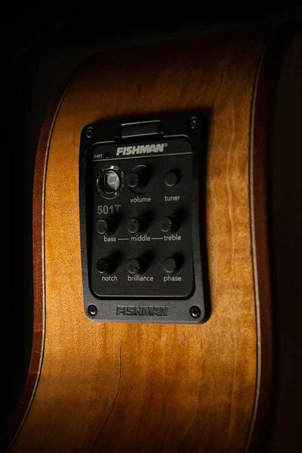 Washburn G66SCE SPALT MAPLE - Grand Auditorium - Natural Electro Acoustic Guitar - Image 7