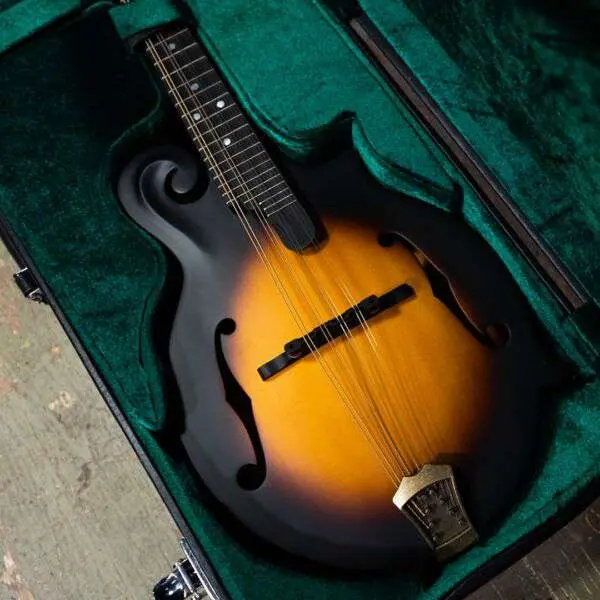 Washburn M108SW - Mandolin - Vintage Sunburst Mandolin - Image 3