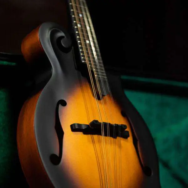 Washburn M108SW - Mandolin - Vintage Sunburst Mandolin - Image 4